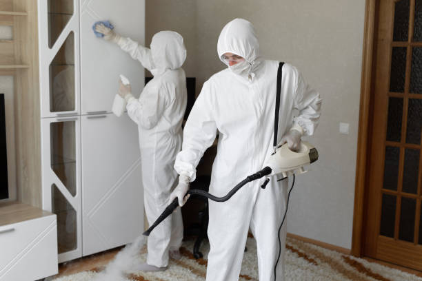 Affordable Sewage Cleanup solutions in Crystal, MI